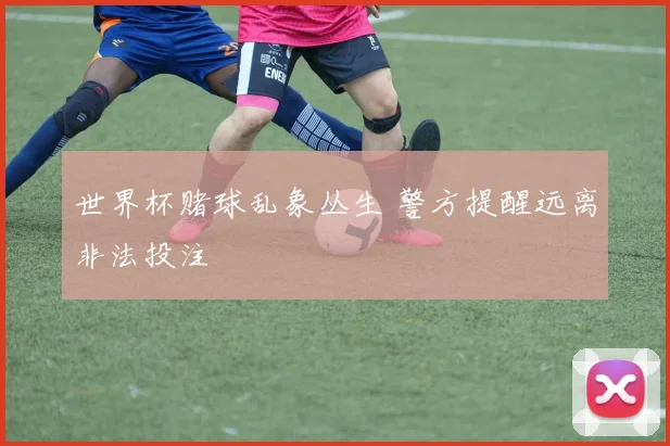 世界杯赌球乱象丛生 警方提醒远离非法投注