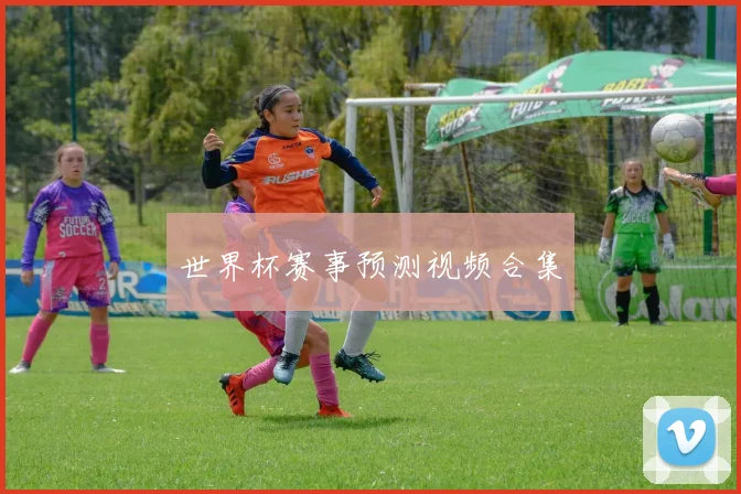 世界杯赛事预测视频合集