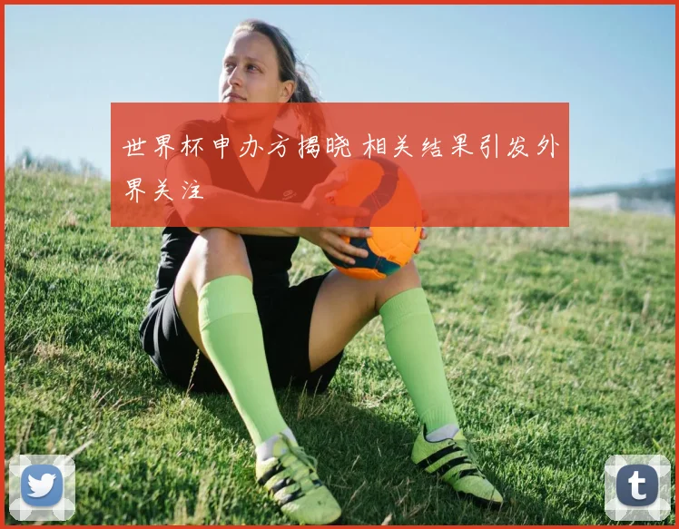 世界杯申办方揭晓 相关结果引发外界关注