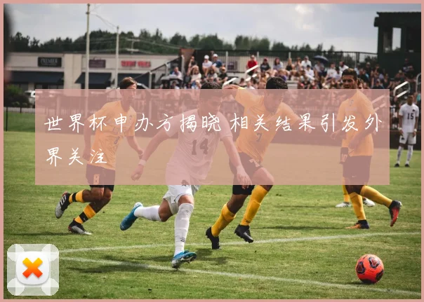 世界杯申办方揭晓 相关结果引发外界关注