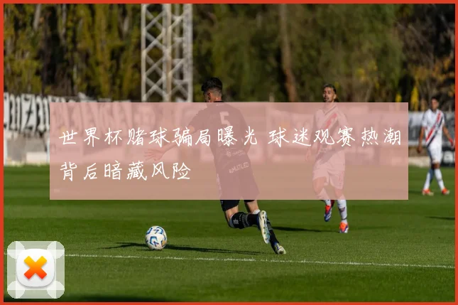 世界杯赌球骗局曝光 球迷观赛热潮背后暗藏风险