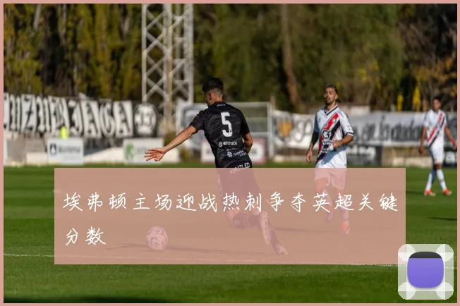 埃弗顿主场迎战热刺争夺英超关键分数