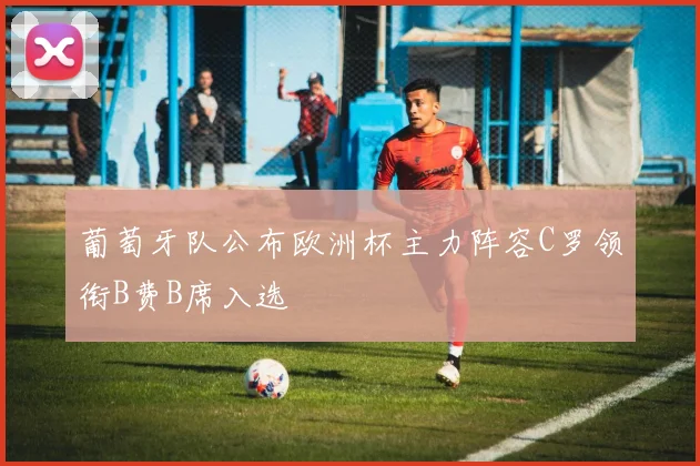 葡萄牙队公布欧洲杯主力阵容C罗领衔B费B席入选