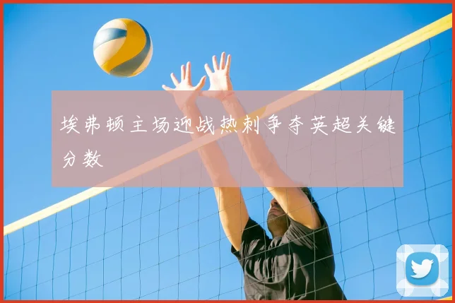 埃弗顿主场迎战热刺争夺英超关键分数