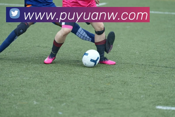 数据防护可视化